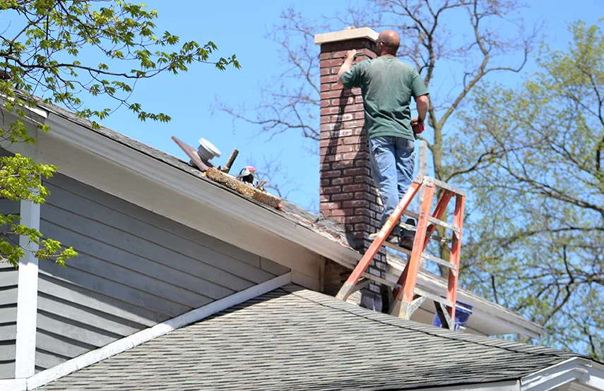Chimney & Fireplace Inspections Services in Highland, IN